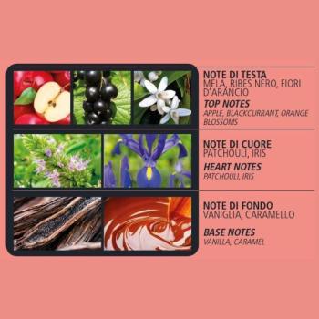 Preview: Acqua di Bolgheri – Elisir di Dolce Vita Bodylotion 300 ml