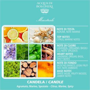 Preview: Acqua di Bolgheri – Maestrale Duftkerze 200 g