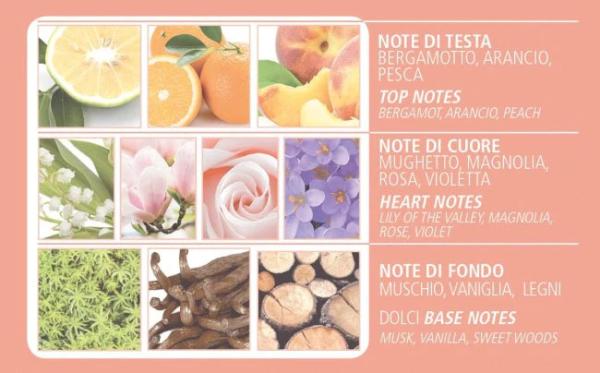 Acqua di Bolgheri - La Magnolia delicate liquid soap 500 ml