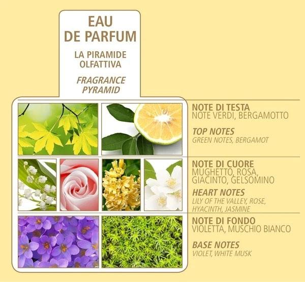 Acqua di Bolgheri - Oro Seifenstück 150 g